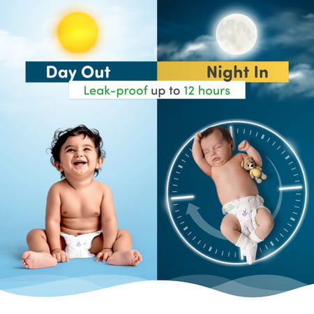 Mylo Medium Diaper Pants - Pack Of 38 (Pack Of 4)