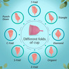 Floren Reusable Menstrual Cup (Large) With Menstural Cup Wash (200Ml)
