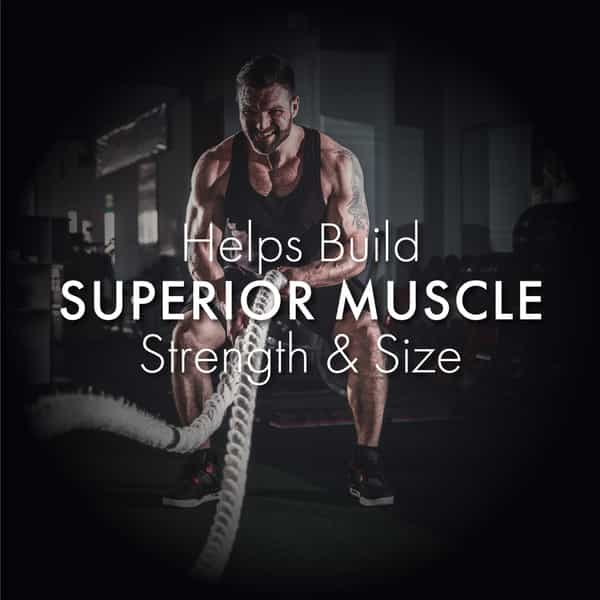 Dr. Vaidya's Herbobuild 50 Capsules Each - Pack Of 1