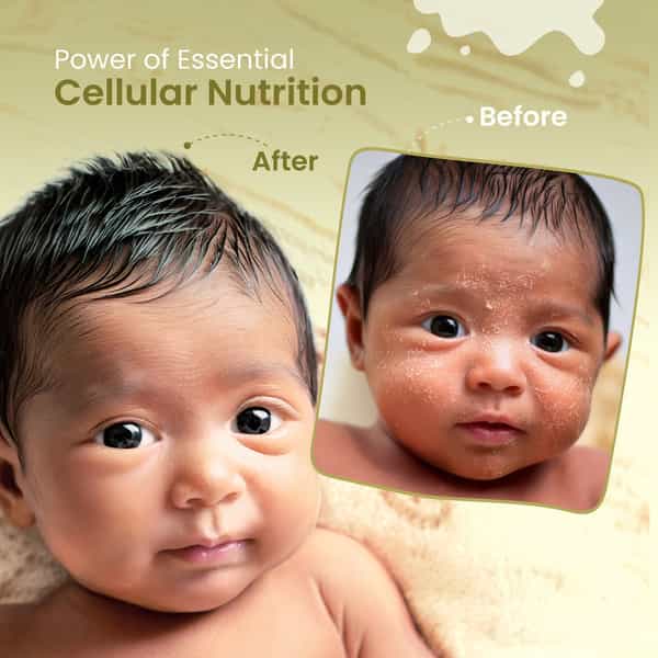 Nat Habit Baby Face Malai - Face Cream | Multi-Nut Oats & Vit-E | 75G