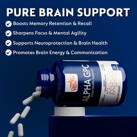 Fitness Veda Alpha Gpc 300 Mg | Brain Support Formula Nootropic Supplement For Focus & Clarity