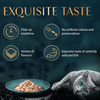 Sheba Rich Premium Adult (1+ Years) Wet Cat Food | Fish With Dry Bonito Flavour | 12 X 35 G