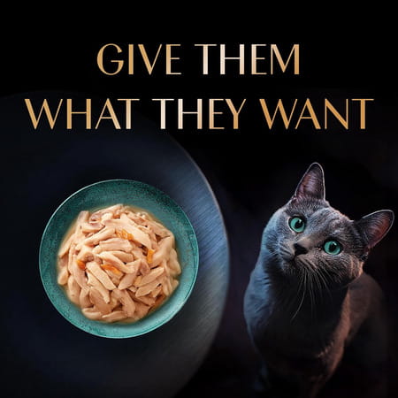 Sheba Rich Premium Adult (1+ Years) Wet Cat Food | Fish With Dry Bonito Flavour | 12 X 35 G
