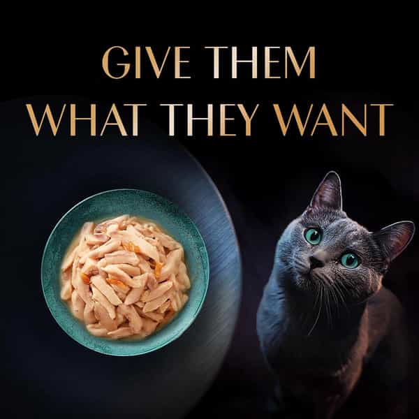 Sheba Rich Premium Adult (1+ Years) Wet Cat Food | Fish With Dry Bonito Flavour | 12 X 35 G