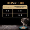 Sheba Rich Premium Adult (1+ Years) Wet Cat Food | Fish With Dry Bonito Flavour | 12 X 35 G