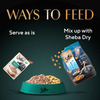 Sheba Rich Premium Adult (1+ Years) Wet Cat Food | Fish With Dry Bonito Flavour | 12 X 35 G