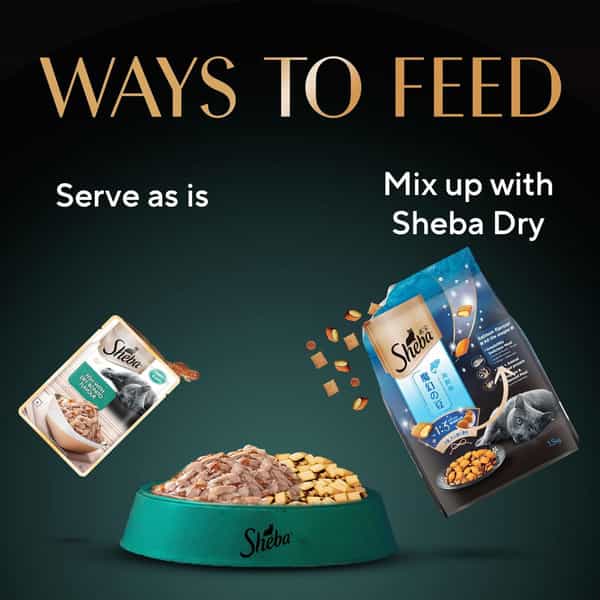 Sheba Rich Premium Adult (1+ Years) Wet Cat Food | Fish With Dry Bonito Flavour | 12 X 35 G