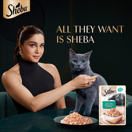 Sheba Rich Premium Adult (1+ Years) Wet Cat Food | Fish With Dry Bonito Flavour | 12 X 35 G