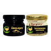Fij Ayurveda Pure Ayurvedic Shilajit 20gm | With Pure Kashmiri Kesar Saffron - 1gm (Combo Pack)