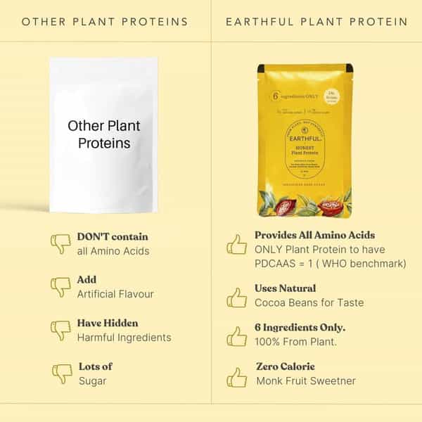 Earthful Plant Protein For Stamina- Indonesian Cocoa - Large Pack | 504 Grams