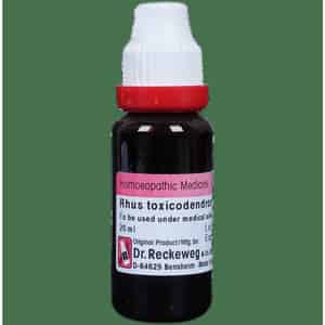 Dr. Reckeweg Rhus Tox Mother Tincture Q 20 Ml