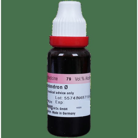 Dr. Reckeweg Rhus Tox Mother Tincture Q 20 Ml