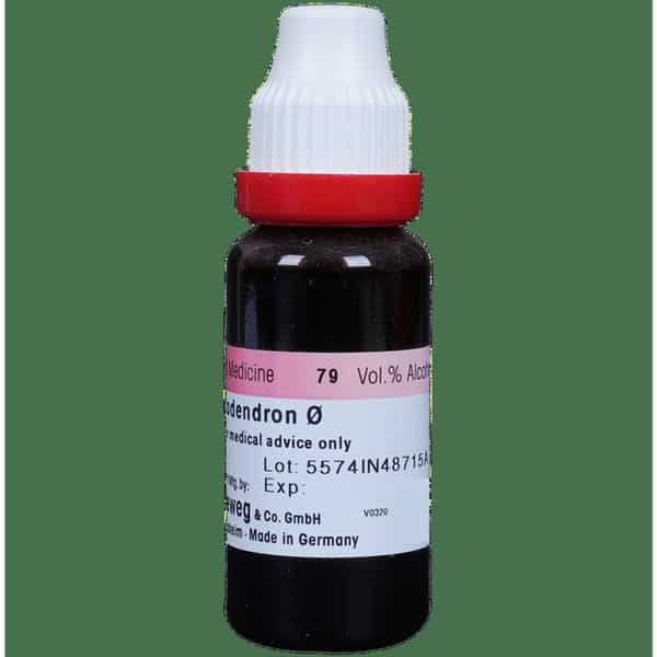 Dr. Reckeweg Rhus Tox Mother Tincture Q 20 Ml