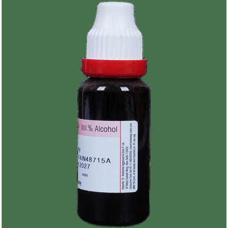 Dr. Reckeweg Rhus Tox Mother Tincture Q 20 Ml
