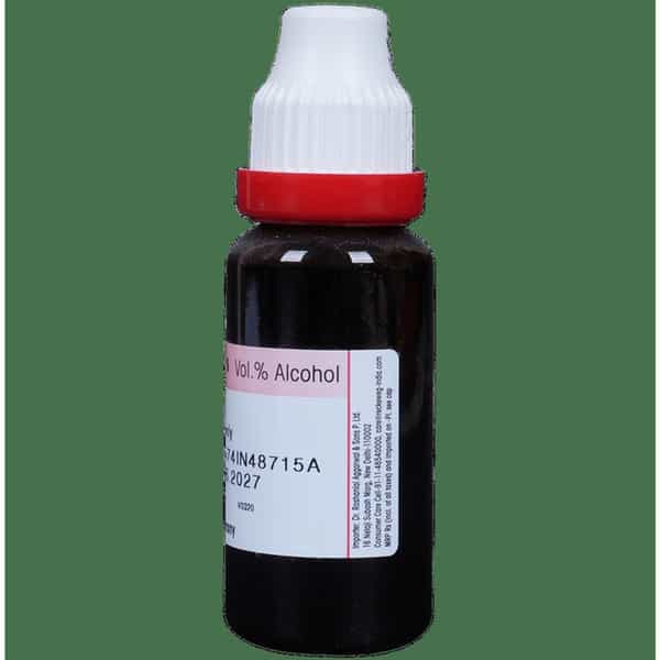 Dr. Reckeweg Rhus Tox Mother Tincture Q 20 Ml