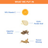The Moms Co.natural Vitamin C Face Serum With Mono Cartons 30 Ml (10% Vitamin C)
