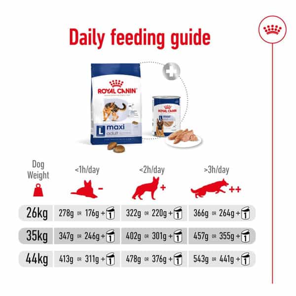 Royal Canin Maxi Adult Dog Food | 15 Kg | Dry Food | Supports Digestive Health & Optimal Health