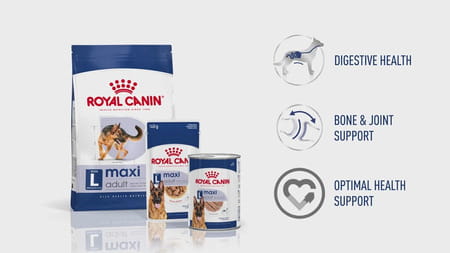 Royal Canin Maxi Adult Dog Food | 15 Kg | Dry Food | Supports Digestive Health & Optimal Health