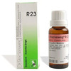Dr. Reckeweg R 23-Eczema Drops (22 Ml) Pack Of 2