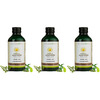 Kerala Ayurveda Hamsapadadi Kwath |Herbal Thyroid Care Syrup (200 Mi) X Pack Of 3 (Pack Of 3)