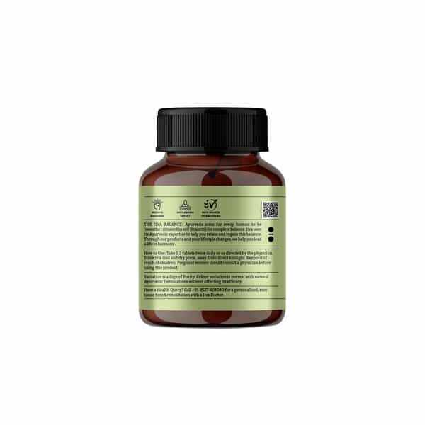 Jiva Brahmi Tablets 500Mg For Mind Wellness|Helps To Relief Stress & Anxiety - 60 Tablet (Pack Of 2)
