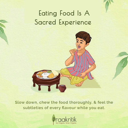 Praakritik Organic Jackfruit Flour 500 G