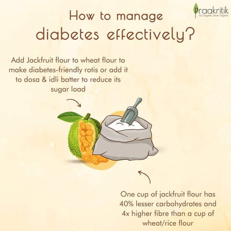 Praakritik Organic Jackfruit Flour 500 G