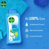 Dettol Cool Mint And Bergamot Body Wash 250 Ml
