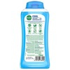 Dettol Cool Mint And Bergamot Body Wash 250 Ml