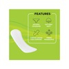Pee Safe Aloe Vera Panty Liners - Pack Of 50 Liners