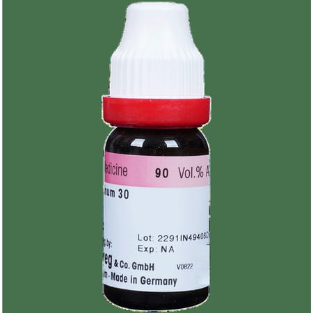 Dr. Reckeweg Caladium Seg Dilution 30 Ch 11 Ml