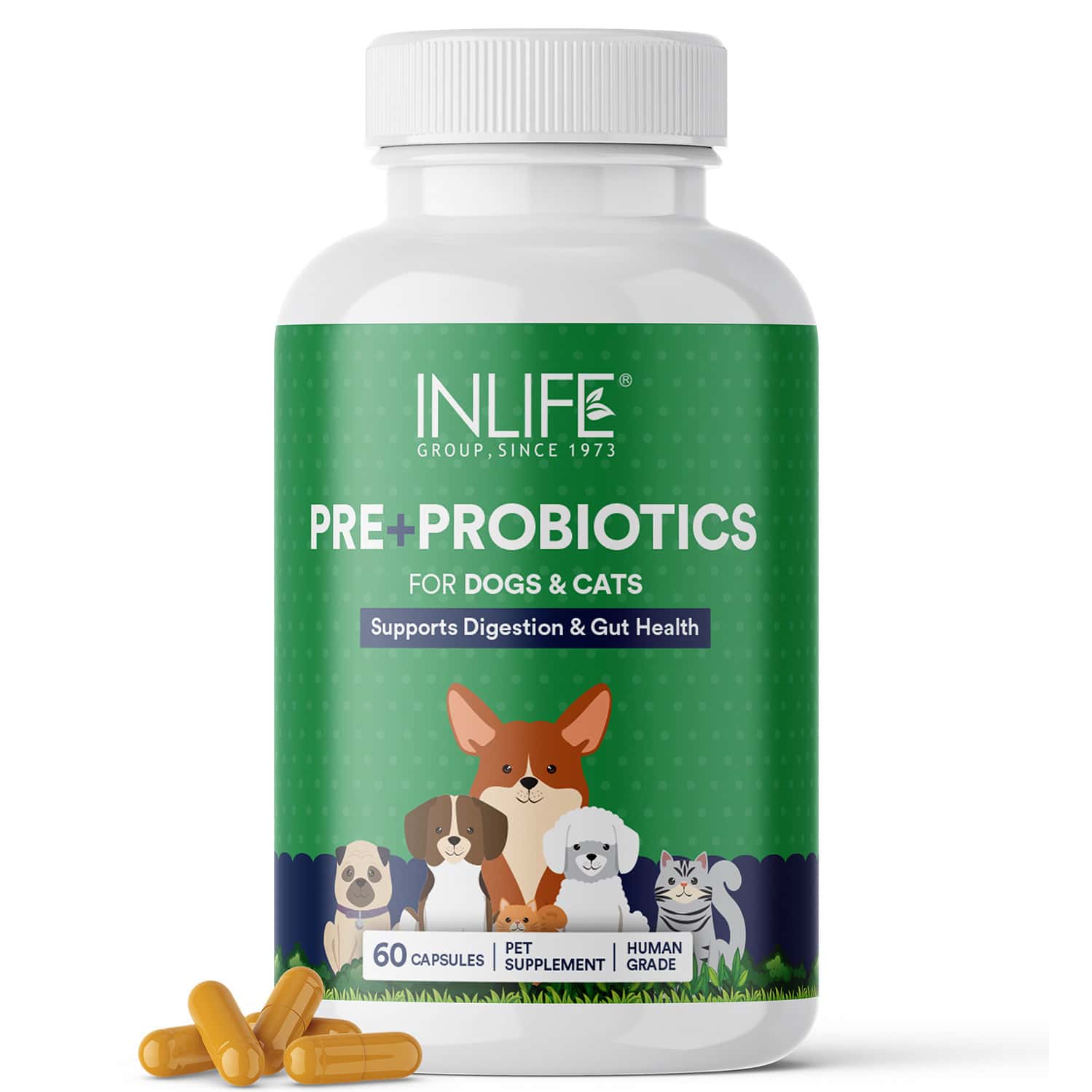 Inlife Prebiotics And Probiotics For Dogs Supplement 60 Capsules Pet Health Supplements (100 Mg)