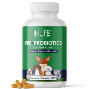 Inlife Prebiotics And Probiotics For Dogs Supplement 60 Capsules Pet Health Supplements (100 Mg)