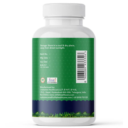 Inlife Prebiotics And Probiotics For Dogs Supplement 60 Capsules Pet Health Supplements (100 Mg)