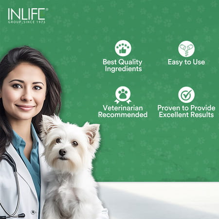 Inlife Prebiotics And Probiotics For Dogs Supplement 60 Capsules Pet Health Supplements (100 Mg)