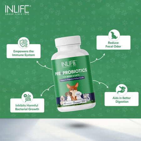 Inlife Prebiotics And Probiotics For Dogs Supplement 60 Capsules Pet Health Supplements (100 Mg)