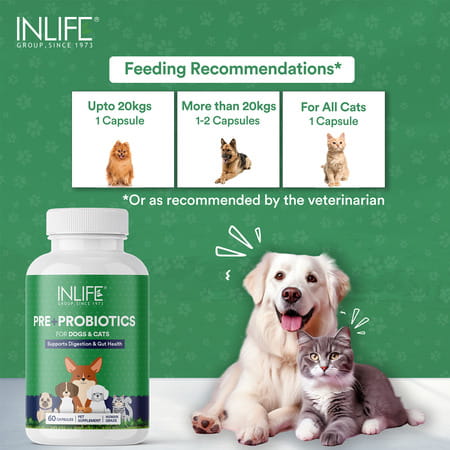 Inlife Prebiotics And Probiotics For Dogs Supplement 60 Capsules Pet Health Supplements (100 Mg)