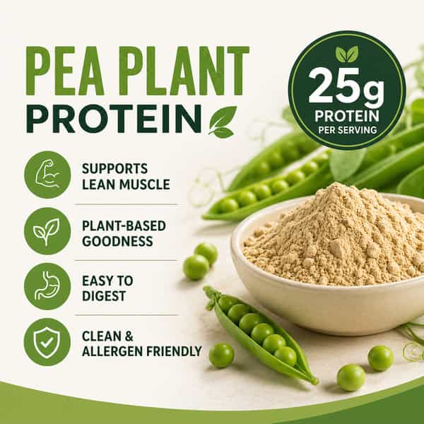 Sos Nutrition Plant Protein Powder For Men & Women 25G Protein Per Serving (454G Chocolate)