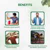 New Dr. Vaidya's Herbobuild - 30 Capsules - Pack Of 3