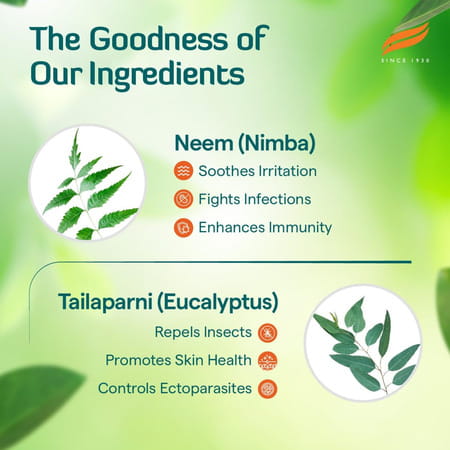 Himalaya Erina Ep Shampoo | 450 Ml | Tick & Flea Control For Dogs & Cats