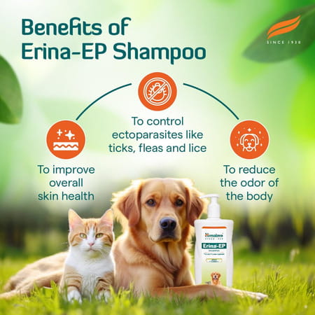 Himalaya Erina Ep Shampoo | 450 Ml | Tick & Flea Control For Dogs & Cats