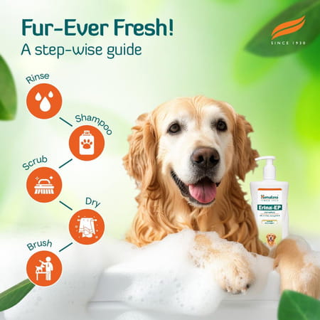Himalaya Erina Ep Shampoo | Lemon Fragrance | Tick & Flea Control For Dogs & Cats | 450 Ml