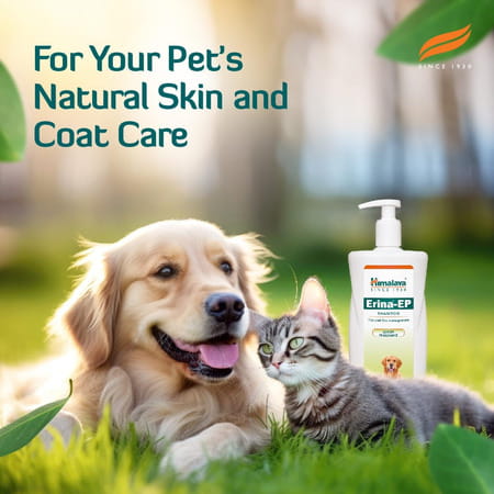 Himalaya Erina Ep Shampoo | Lemon Fragrance | Tick & Flea Control For Dogs & Cats | 450 Ml