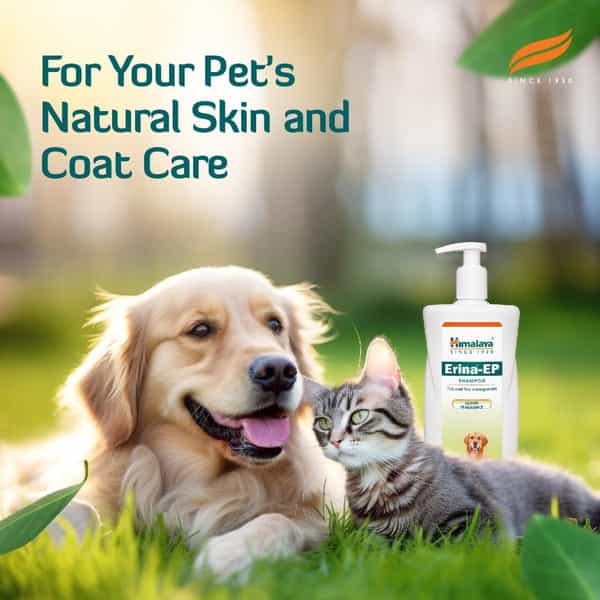 Himalaya Erina Ep Shampoo | Lemon Fragrance | Tick & Flea Control For Dogs & Cats | 450 Ml