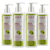 Jiva Amla Shampoo|Helps To Prevent Dandruff | Promotes Healthy Hair - 200Ml (Pack Of 4)