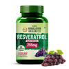 Vlado'S Himalayan Organics 255mg With Grape Seed Extract Supplement | Heart Skin Health | Veg - 60n
