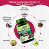 Vlado'S Himalayan Organics 255mg With Grape Seed Extract Supplement | Heart Skin Health | Veg - 60n