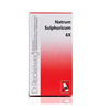 Dr. Reckeweg Natrum Sulphuricum 6X (20G) (Pack Of 2)
