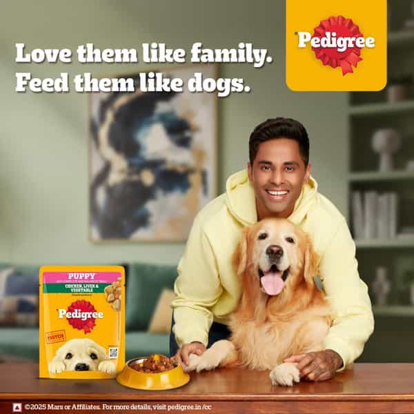 Pedigree Puppy Wet Dog Food | Chicken And Liver Chunks Flavour In Gravy With Vegetables | 30 X 70 G