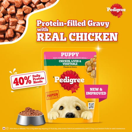 Pedigree Puppy Wet Dog Food | Chicken And Liver Chunks Flavour In Gravy With Vegetables | 30 X 70 G